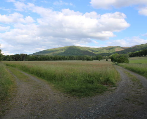 professionelles Karrierecoaching Business-Coaching Einzelcoaching Systemisches Coaching