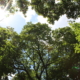 professionelles Karrierecoaching Business-Coaching Einzelcoaching Systemisches Coaching