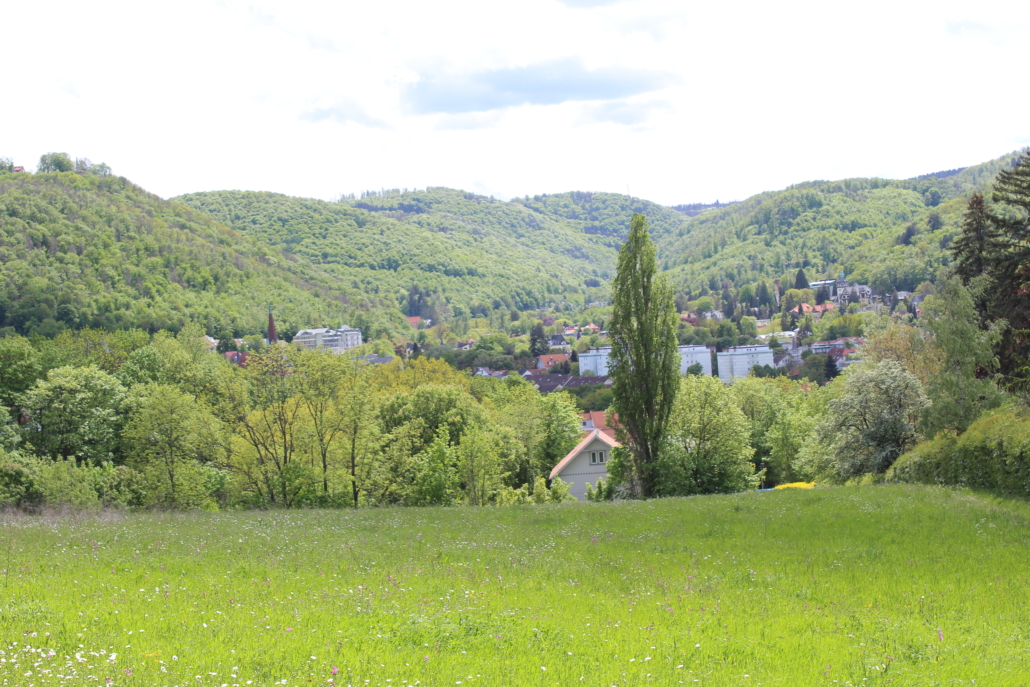 professionelles Karrierecoaching Business-Coaching Einzelcoaching Systemisches Coaching professionelles Karrierecoaching Business-Coaching Einzelcoaching Systemisches Coaching