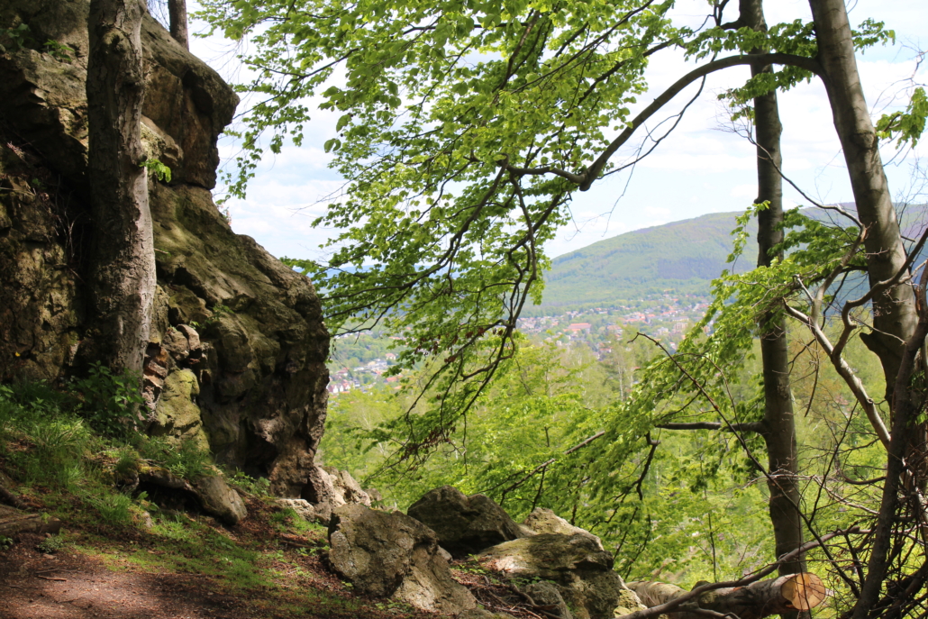 Resilienz Workshop Achtsamkeitspause im Arbeitsalltag – Mini-Pause gegen Stress