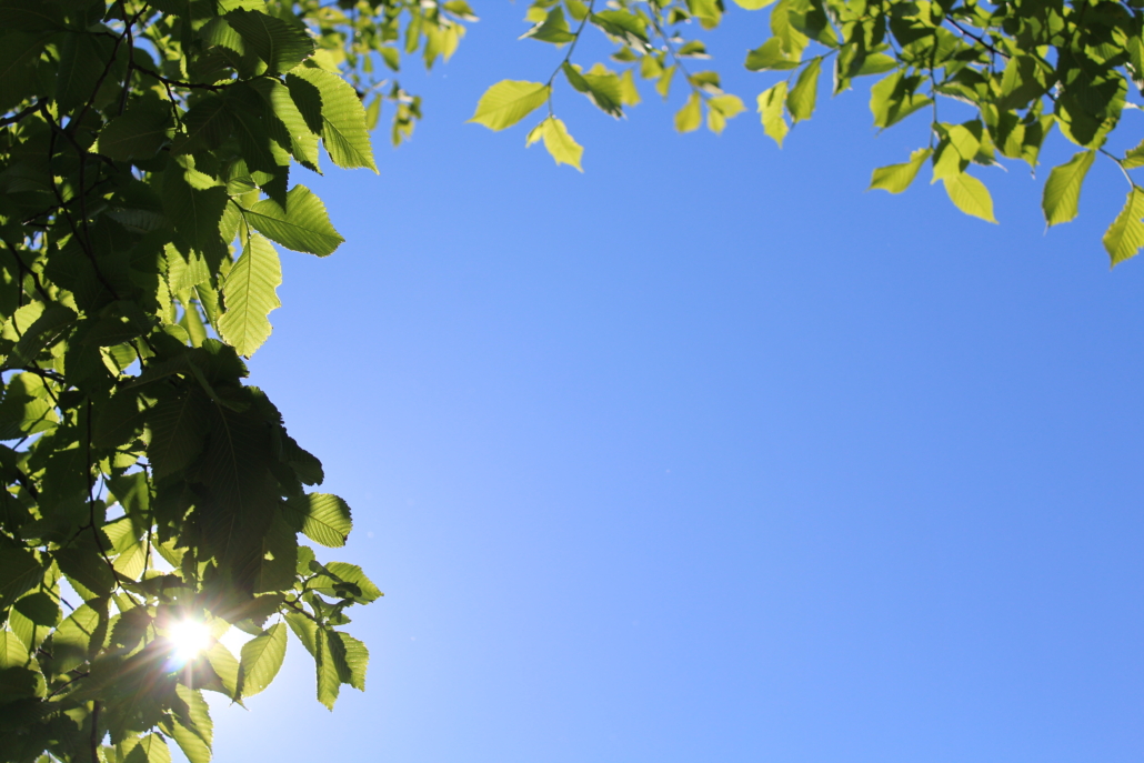 Selbstachtsamkeit und Resilienz Achtsamkeitspause im Arbeitsalltag – Mini-Pause gegen Stress