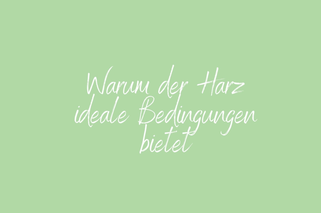 Workshop Resilienz Achtsamkeitspause im Arbeitsalltag – Mini-Pause gegen Stress